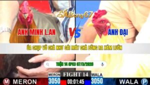 TRẬN 14 CPC3 NGÀY 07/3/2026