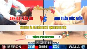 TRẬN 14 CPC3 NGÀY 08/3/2026