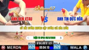 TRẬN 15 CPC3 NGÀY 05/3/2026