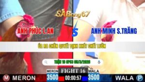 TRẬN 16 CPC3 NGÀY 05/3/2026