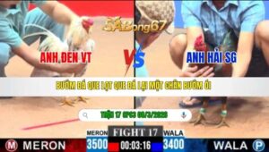 TRẬN 17 CPC3 NGÀY 08/3/2026