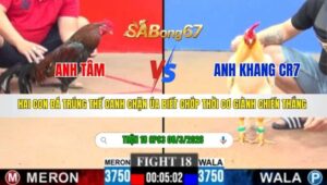 TRẬN 18 CPC3 NGÀY 08/3/2026