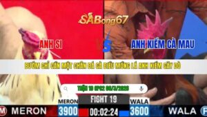 TRẬN 19 CPC2 NGÀY 06/3/2026