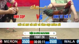 TRẬN 24 CPC2 NGÀY 04/3/2026