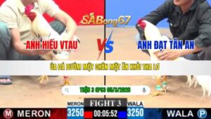 TRẬN 3 CPC3 NGÀY 05/3/2026