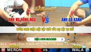 TRẬN 3 CPC4 NGÀY 05/3/2026