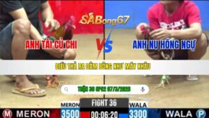 TRẬN 36 CPC2 NGÀY 07/3/2026