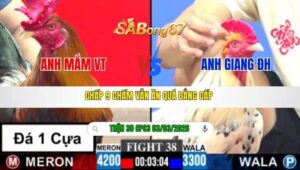 TRẬN 38 CPC3 NGÀY 03/3/2026