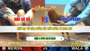 TRẬN 4 CP4 NGÀY 08/3/2026