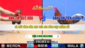 TRẬN 6 CPC3 NGÀY 05/3/2026