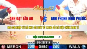 TRẬN 8 CPC3 NGÀY 08/3/2026