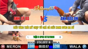 TRAN-8-CPC3-NGAY-07-03-2026