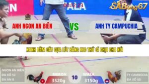 TRẬN 10 XÀ XÍA 15/3/2026