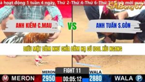 TRẬN 11 CPC2 11/3/2026