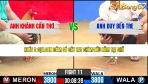 TRẬN 11 CPC2 18/3/2026