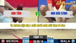 TRẬN 11 CPC2 25/3/2026