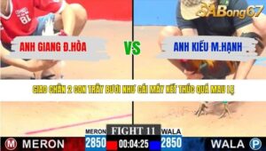 TRẬN 11 CPC3 14/3/2026