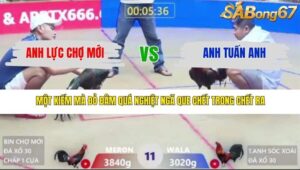 TRẬN 11 XÀ XÍA 15/3/2026