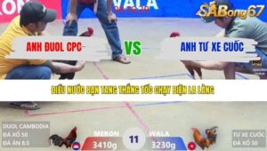 TRẬN 11 XÀ XÍA 26/3/2026