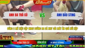 TRẬN 12 CPC2 24/3/2026