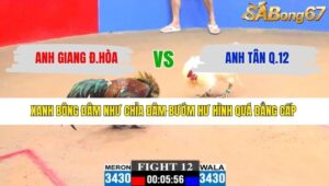 TRẬN 12 CPC3 10/3/2026