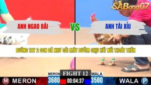 TRẬN 12 CPC3 15/3/2026