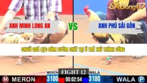 TRẬN 12 CPC3 26/3/2026