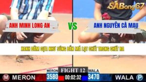 TRẬN 12 CPC3 28/3/2026