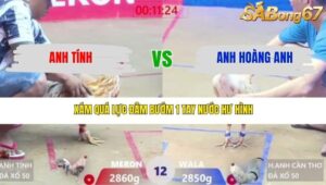 TRẬN 12 XÀ XÍA 15/3/2026