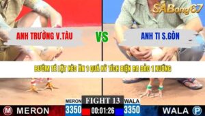 TRẬN 13 CPC3 15/3/2026