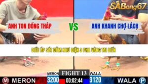 TRẬN 13 CPC3 31/3/2026