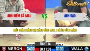 TRẬN 14 CPC2 20/3/2026