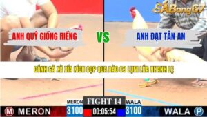 TRẬN 14 CPC3 22/3/2026