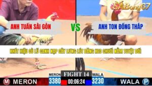 TRẬN 14 CPC3 26/3/2026