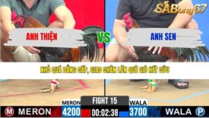 TRẬN 15 CPC2 13/3/2026