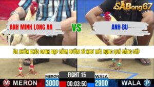 TRẬN 15 CPC2 25/3/2026