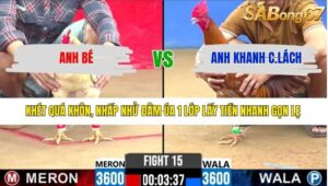 TRẬN 15 CPC2 9/3/2026