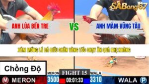 TRẬN 15 CPC3 29/3/2026