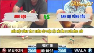 TRẬN 16 CPC2 20/3/2026