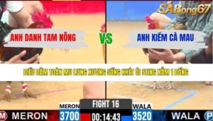 TRẬN 16 CPC2 31/3/2026