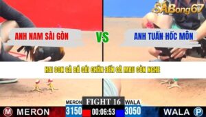 TRẬN 16 CPC3 26/3/2026