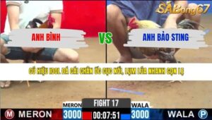 TRẬN 17 CPC2 14/3/2026