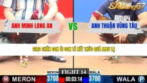 TRẬN 14 CPC3 17/3/2026