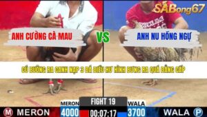 TRẬN 19 CPC2 26/3/2026