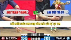 TRẬN 19 CPC2 9/3/2026