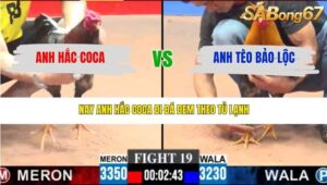 TRẬN 19 CPC3 22/3/2026