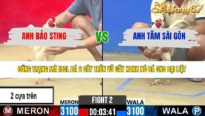 TRẬN 2 CPC2 25/3/2026