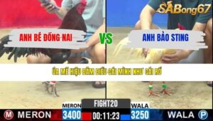 TRẬN 20 CPC2 20/3/2026