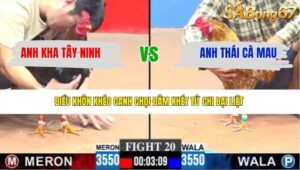 TRẬN 20 CPC3 28/3/2026