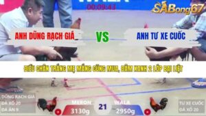 TRẬN 21 XÀ XÍA 15/3/2026